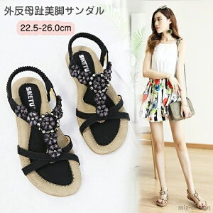 yz_ fB[X ₷ r O ɂ JWA Sn O r[`T_ y ʋC  K Ȃ C s C r[`T_  wZ