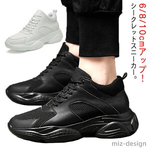 yzV[NbgV[Y wȂC fB[X Xj[J[ 6/8/10cmAbv gAbv Y V[NbgXj[J[