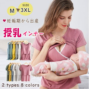 yzL~\[ TVc  }^jeB gbvX  m[X[u Ci[ 傫TCY ʋC  Xgb` M L LL 3L