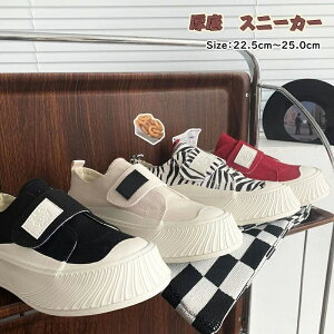 yzfB[X EH[LOV[Y jZbNX [Jbg  Xj[J[ fB[X l p C t  H ʋΒʊw