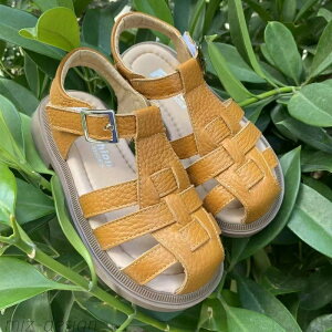 yzOJT_ XgbvT_ fB[X [t@[ [q[ }jbVV[Y X|[c T_