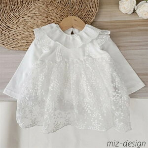 yzxr[hX   t xr[ [XhX `[s[X p[X Ԃ `[XJ[g Jo[I[ xr[