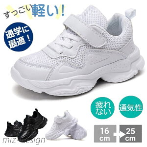 yzfB[X Y LbY _X ^C ؍  jp lC jOV[Y _XV[Y Xj[J[ bV \