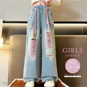 yz_[WH  W[Y fjpc O ̎q q t H 120 130 140 150 160 170 cm w w