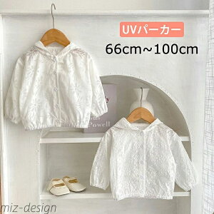 yz̎q J[fBK Rbg xr[  WjA n t[h Ԃ  HD t[ht J[f {^