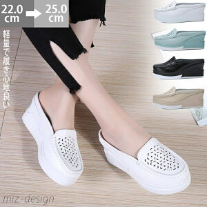 yzJV ~[ fB[X ؂ JVV[Y  t y JV[t@[ V[Y 5cm {v C ʋC