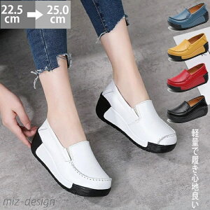 yzJV fB[X ؂ JVV[Y  t y 5cm {v C ʋC  JV[t@[ V[Y