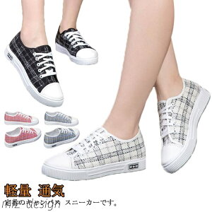 yzy [Jbg Ȃ JWAV[Y EH[LOV[Y LoX fB[X Xj[J[