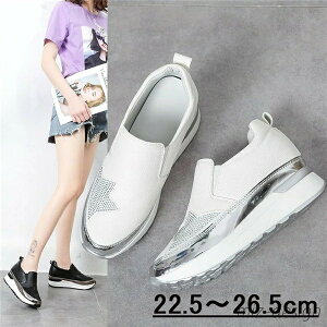 yzF AC{[  TCY22.5`26.5cm 傫TCY C  V[Y 