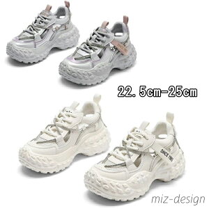 yz_bhXj[J[ y V[Y C Xj[J[  Xb| O  V[Y fB[X T_