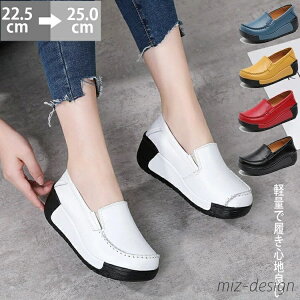 yzJV fB[X ؂ JVV[Y  t y 5cm {v C ʋC  JV[t@[ V[Y