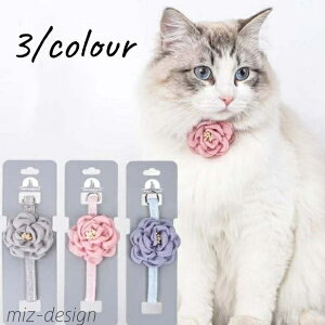 yz։Ԃ t ԕt ˂ ʎ Lp ^p ybgp