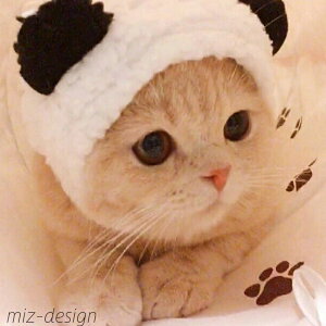 yzh΍ hbOEFA }WbNe[v Lpϐg ybgEFA ybgpLbv ybgpXq  L Xq