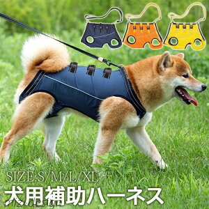 yzybgpi?ybgObY VɓKp ^ ^ ^ PApi n[lX ybg Vp s⏕n[lX 