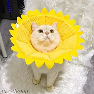 yz 킢  Ck lR _炩 \tg pEFA wXPA rߖh~ p Lp  Ђ܂^