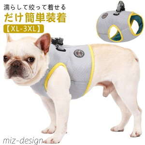 yzyXL-3XLz  L  ⊴ G炵Ē n[lX N[xXg xXg N[ EFA G炷 Ђ p CM bV