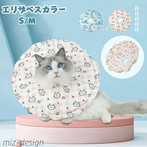 yz΍  畆a  ~h~ rߖh~ p p  ^ 킢 畆ی Lp GUxXJ[p L 