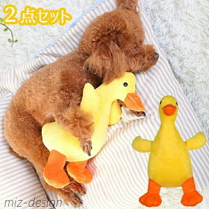 yzSٓ f^PA  ނ o Ђ ނ ʂ  p 2_Zbg