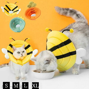 yze ×p 畆  h~ r r p㕞 L p  pی \tg^Cv ^ ^ L 