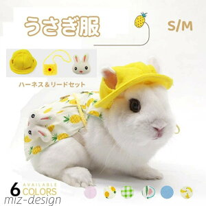 yz킢 ʕ [hZbg opn[lX U bg  ETM p n[lX   p