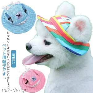 yz蕨 Lp ^ ^  Εt 悯 ˕a MǑ΍  hbOnbg oCU[ nbg p ybgp Xq