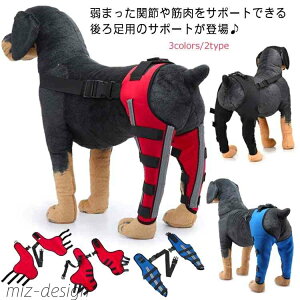 yz^ pi ܎ 둫  p ی x ֐ߕی T|[^[ G EZbg p 둫 ֐߃veN^[ p