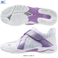 MIZUNO（ミズノ）ウエーブダイバース LG LITE 2 WAVE DIVERSE LG LITE 2（K1GF2102）（フィットネスシュ…