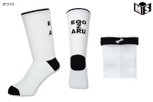 y2wŃ[֑zZ^[Z\bNXGSUyEZAC-F2306zoXP \bNX