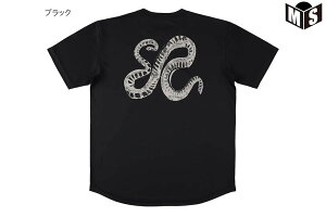 EZXl[N TVcGSUyEZAL25UST001SPzoXP tVc 