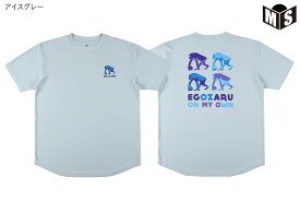 ポリゴン バックプリント Tシャツエゴザル【EZSS25UST014】バスケ tシャツ 半袖