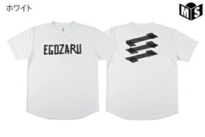 }XLOS TVcGSUyEZSS25UST029zoXP tVc 