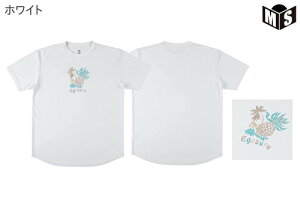 pCibvAn TVcGSUyEZSS25UST031z oXP tVc 