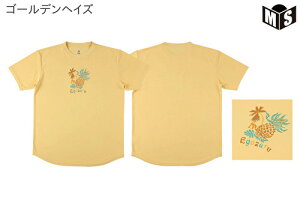 pCibvAn TVcGSUyEZSS25UST031z oXP tVc 