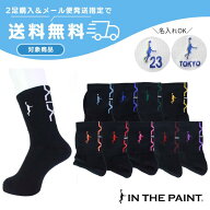 ◆ネーム刺繍可能◆【2足購入でメール便送料無料】パネルソックスインザペイント 【ITP19332B】バスケ バ…