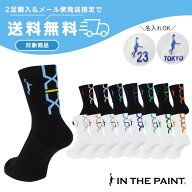 ◆ネーム刺繍可能◆【2足購入でメール便送料無料】バスケ ソックスm-sports限定カラーパネルソックスイン…