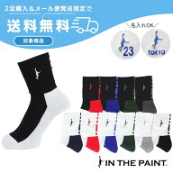 ◆ネーム刺繍可能◆【2足購入でメール便送料無料】バスケ ソックスパネルソックスインザペイント 【ITP86…