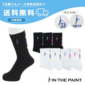 ◆ネーム刺繍可能◆【2足購入でメール便送料無料】バスケ ソックス限定カラーパネルソックスインザペイント【ITP860MS】
