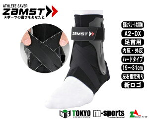 pT|[^[Eʃn[hT|[gUXg yA2-DXz