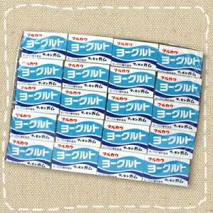 丸川製菓 ヨーグルトガム 55個入り×1BOX