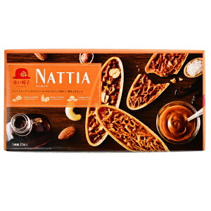 ڂ`{ ԂXq ibeBA(NATTIA) 21×1