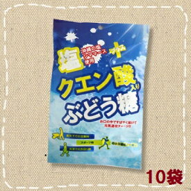 【特価】塩クエン酸入りぶどう糖　20個包装 10袋【大丸本舗】熱中症対策にも！