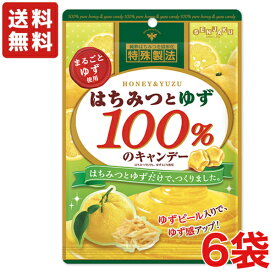 はちみつとゆず100％のキャンデー 51g × 6袋　扇雀飴本舗【送料無料】【メール便】