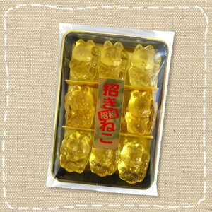 TVC iȋَqs˂LfB ׂb 100g×1