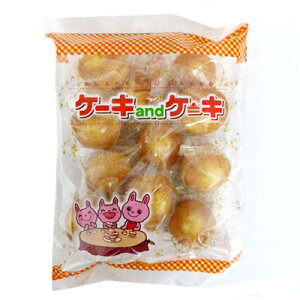 �ێO�ʖ؉� �P�[�Land�P�[�L 12�×12��