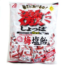 【業務用】1キロ　激しょっぱ 生梅塩飴×10袋　桃太郎製菓　1kg個装タイプ　熱中症対策に