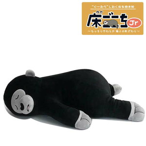 A^ Jr S̃Tbv ʂ NbV  55cm