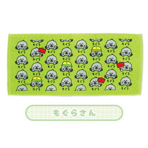 y[։z tFCX^I(wb_[t) 34×75cm S8