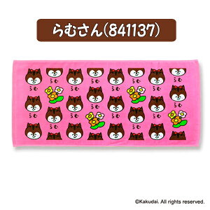 y[։zIN^j  tFCX^I(wb_[t) 34×75cm Nbs[l