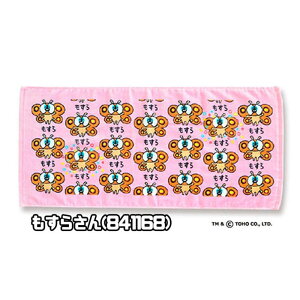 y[։zIN^j  tFCX^I SW(wb_[t) 34×75cm SW X LOMh JSW