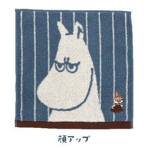 y[։z[~ CCP^InJ` Xb 25x25cm 100 S2